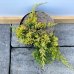 Borievka rozprestretá (Juniperus horizontalis) ´GOLDEN CARPET´, ø 20-30 cm, kont. C2L